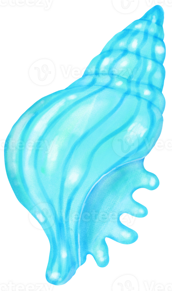 Pastel Blue Conch Sea Shell Watercolor Seashell png