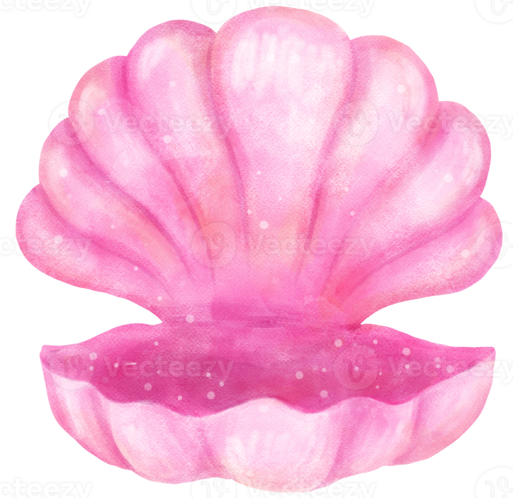 Pastel Pink Open Clam Sea Shell Watercolor Seashell png
