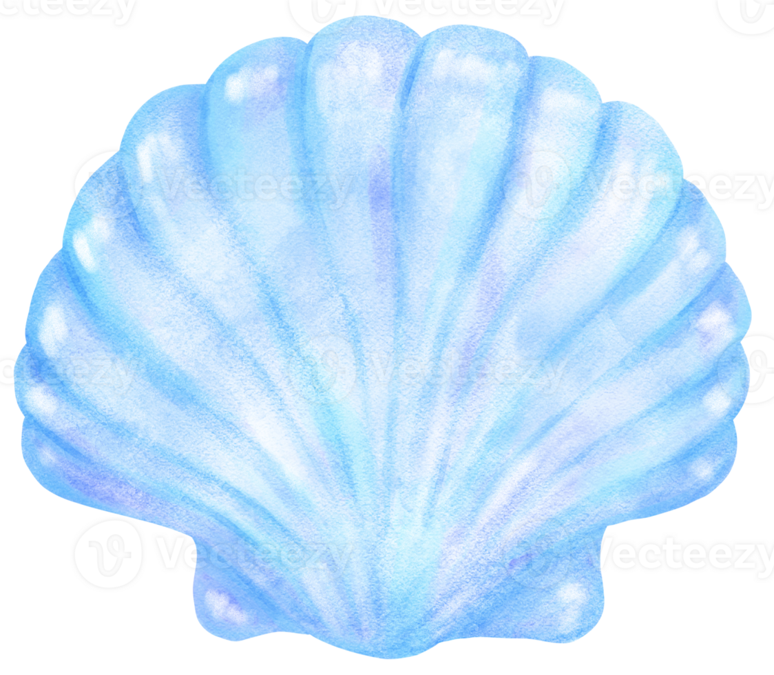 Pastel Blue Clam Sea Shell Watercolor Seashell png
