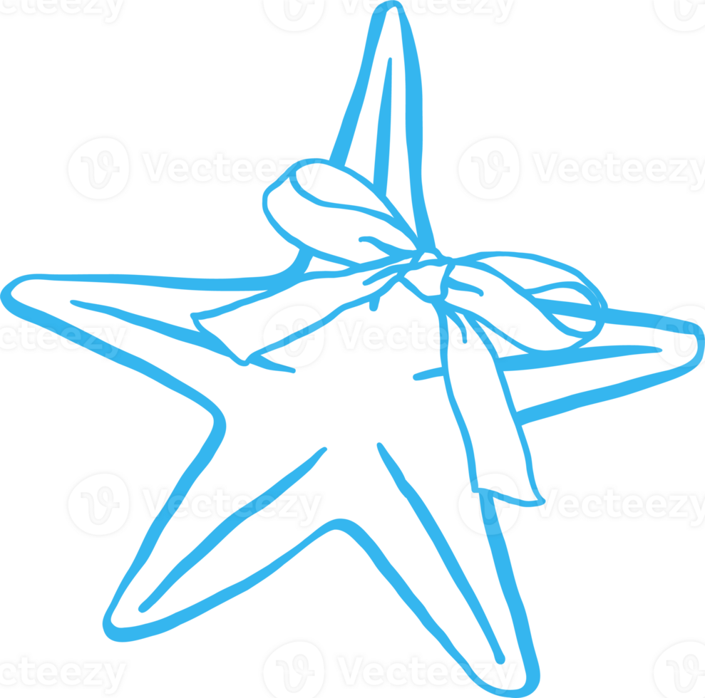 Coquette Seashell Outline Starfish with Ribbon bow Girly Summer png