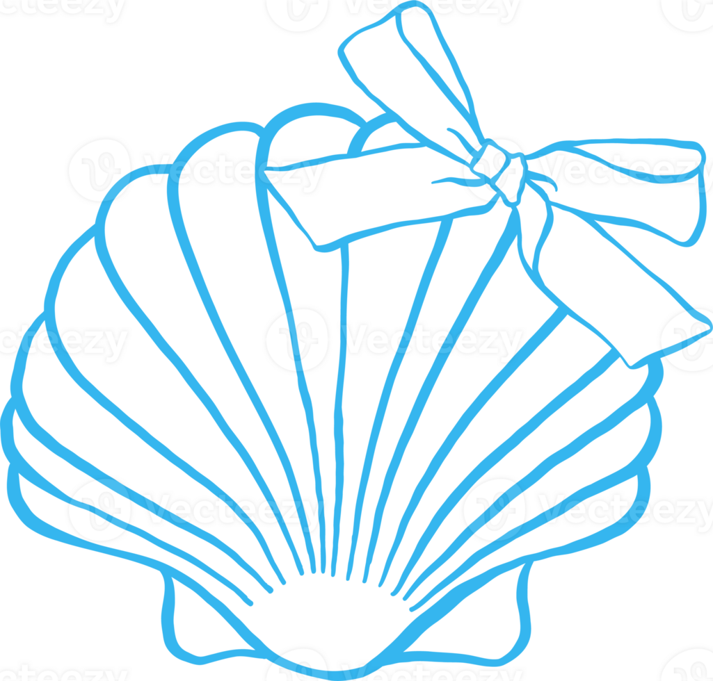 Coquette Seashell Outline Clam Shell with bow Girly Summer png