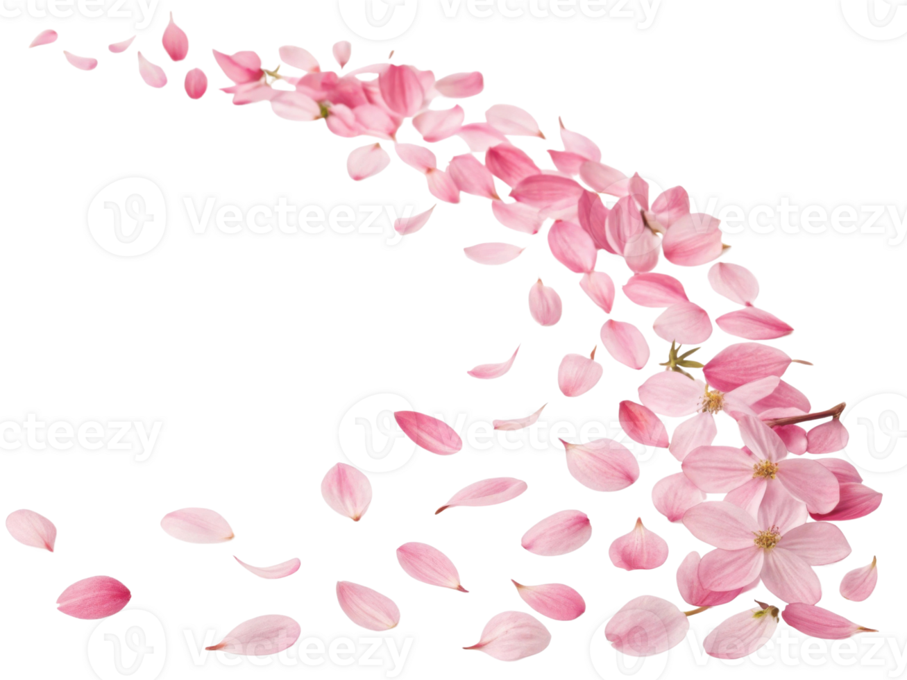Delicate heather flowers scatter gracefully, creating beautiful display of pink petals that evoke sense of tranquility and nature charm png