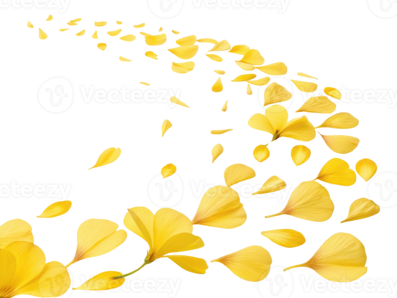 Delicate primrose petals create beautiful trail of yellow flowers, evoking sense of tranquility and natural beauty png