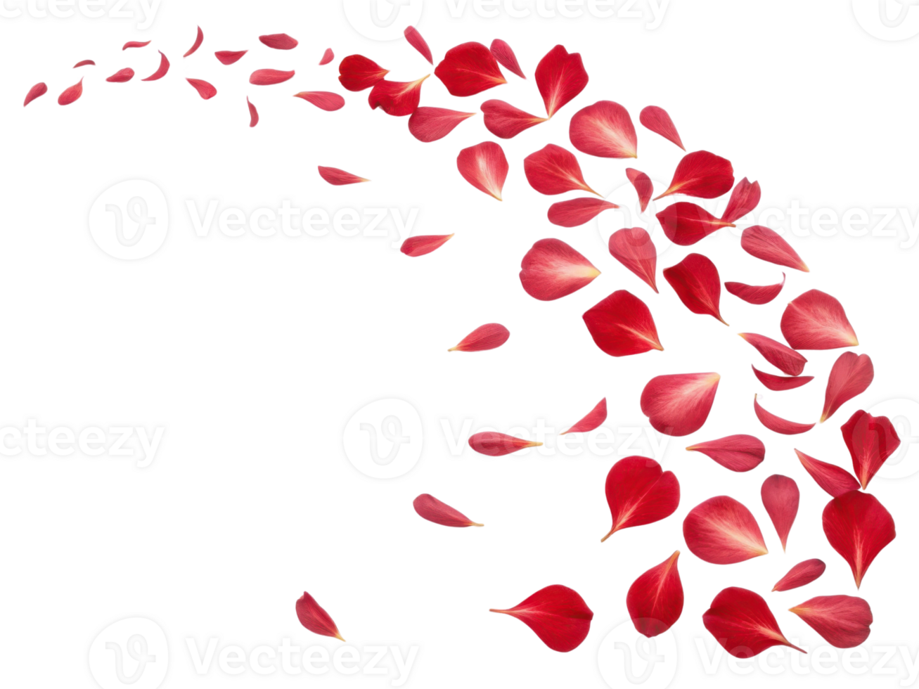 Beautiful red rhododendron flower petals gracefully scatter in delicate dance, creating stunning visual of nature elegance png