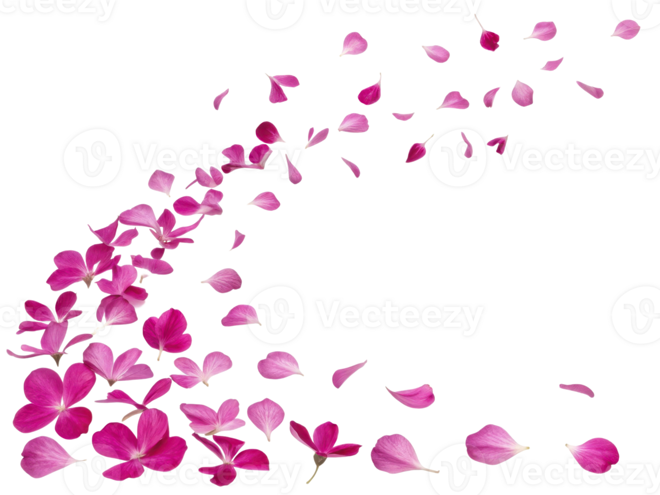 Beautiful verbena flowers create stunning display as their delicate petals drift gracefully through air, evoking sense of tranquility and beauty png