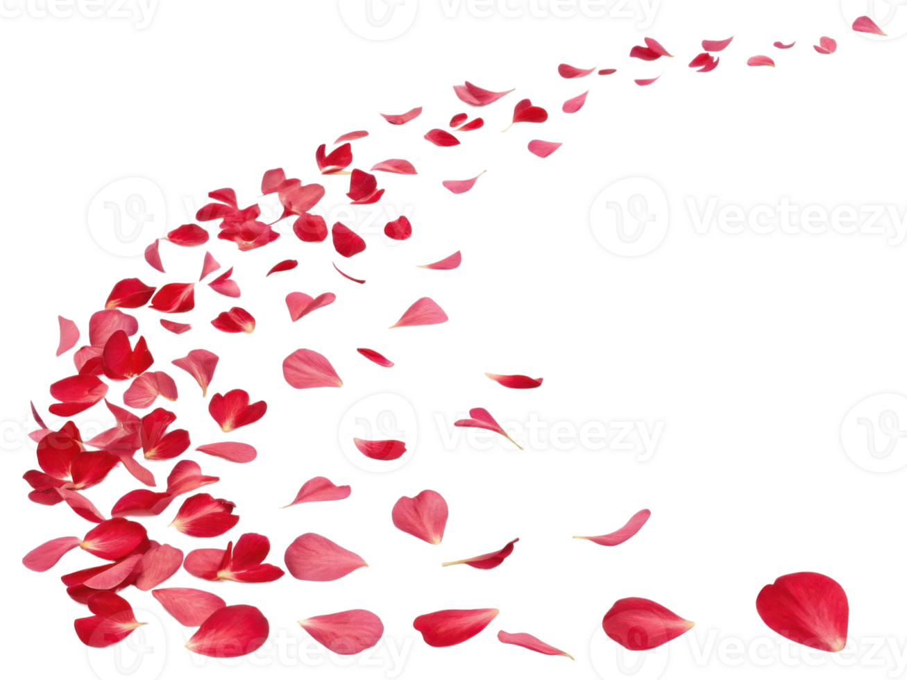 Beautiful petals drift gracefully, creating serene scene filled with essence of nature beauty and charm of flowers png