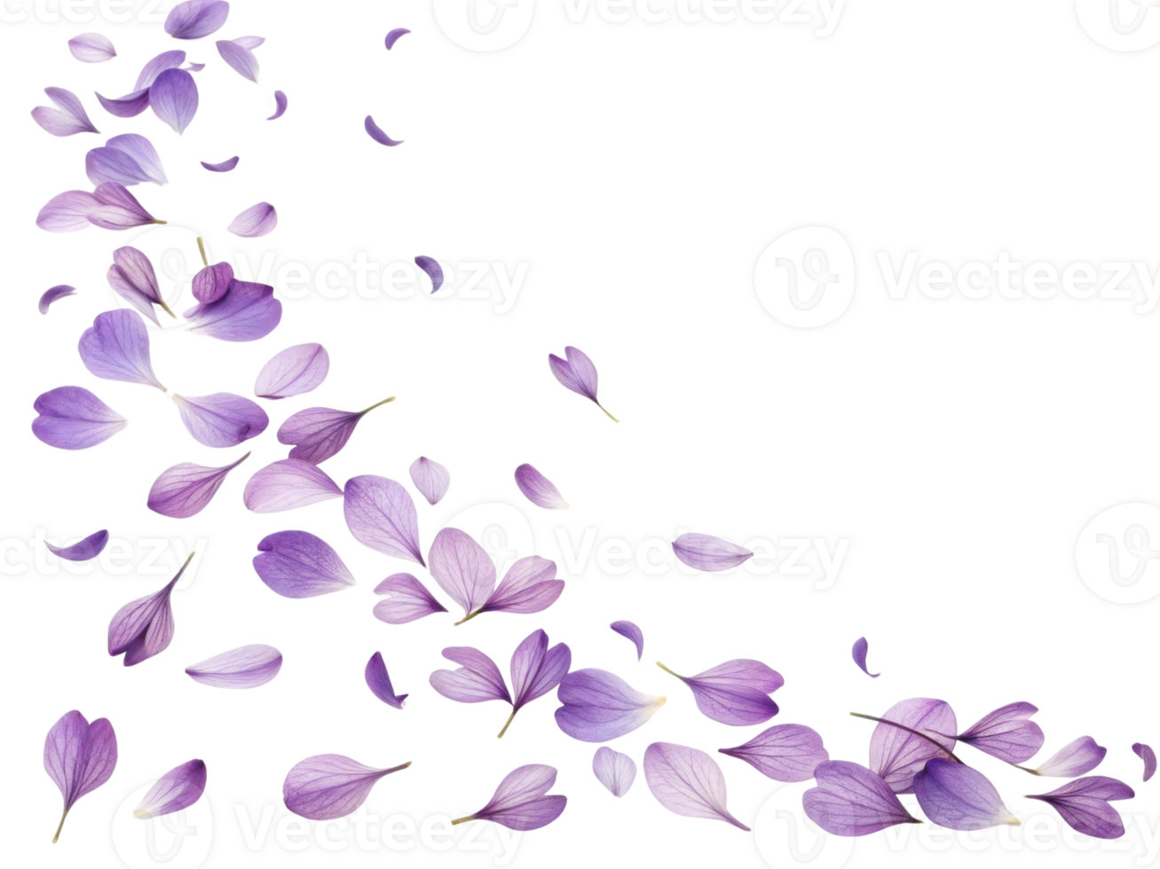 Beautiful purple verbena flowers gracefully scatter, creating serene and calming atmosphere filled with nature charm png