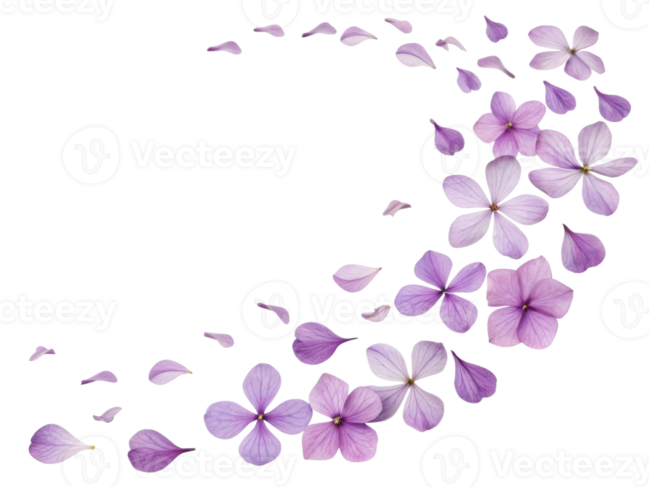 Beautiful arrangement of impatiens flowers in various shades of purple creates serene and calming atmosphere png