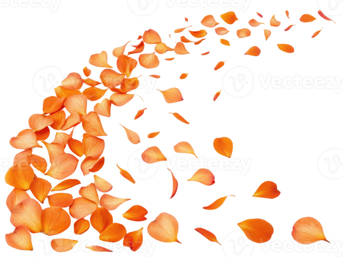 Beautiful orange petals gracefully scatter, creating vibrant display of nature artistry. delicate impatiens flower petals evoke sense png