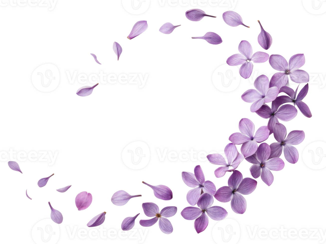 Violets are delicate flowers that create beautiful circular pattern, evoking sense of tranquility and elegance in nature png