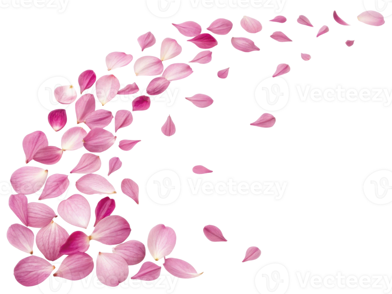 Beautiful violets and delicate flower petals create serene and calming atmosphere as they gracefully drift through air png