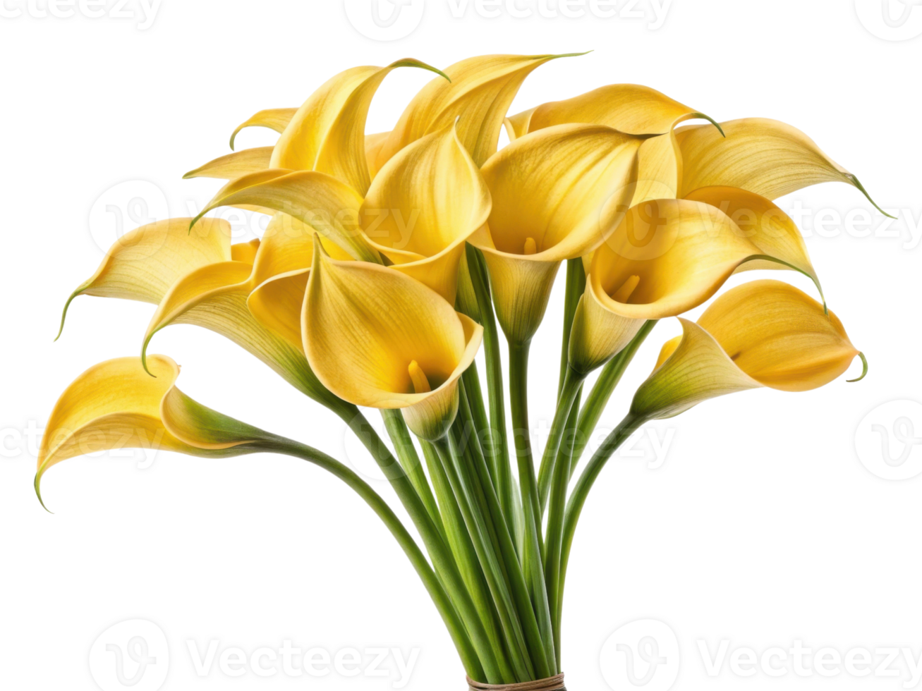 Vibrant bouquet of calla lilies showcases beauty of yellow flowers, perfect for brightening any space with elegance and charm png