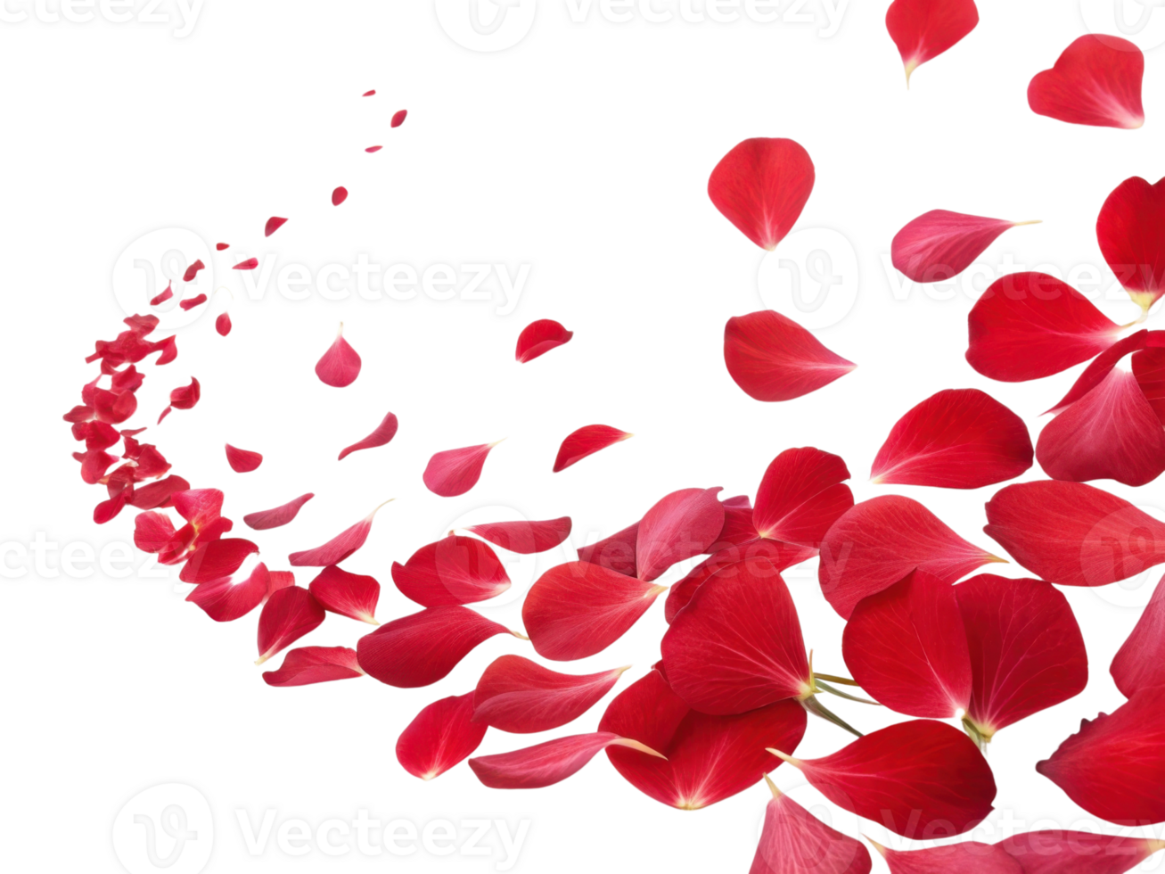 Beautiful red impatiens flowers create stunning visual as they gracefully fall, symbolizing elegance and nature charm png