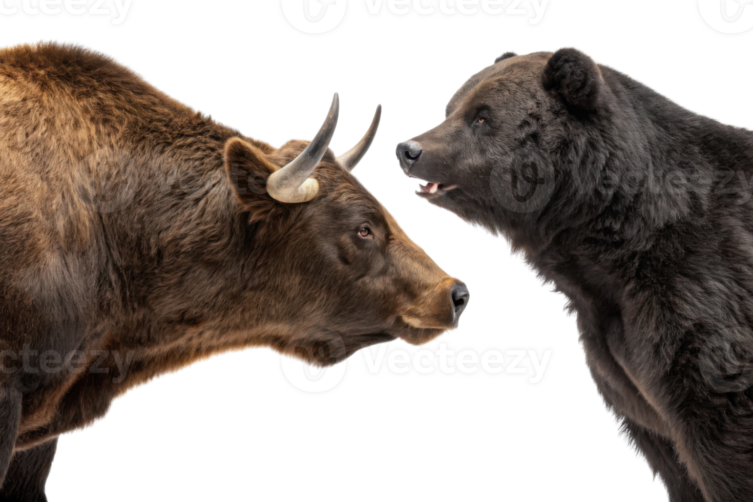 Bull and bear symbolize market contrasting forces, showcasing dynamic nature of trading and investment png