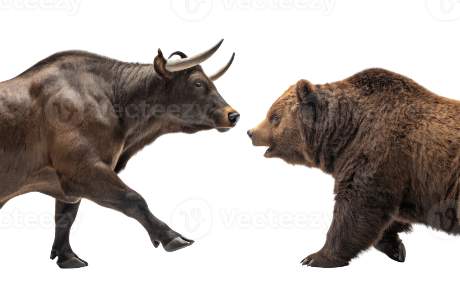 Bull and bear symbolize market dynamic nature, showcasing constant struggle between rising and falling trends png