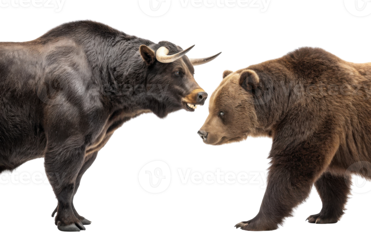 Bull and bear symbolize market contrasting trends, representing both optimism and pessimism in financial landscapes png