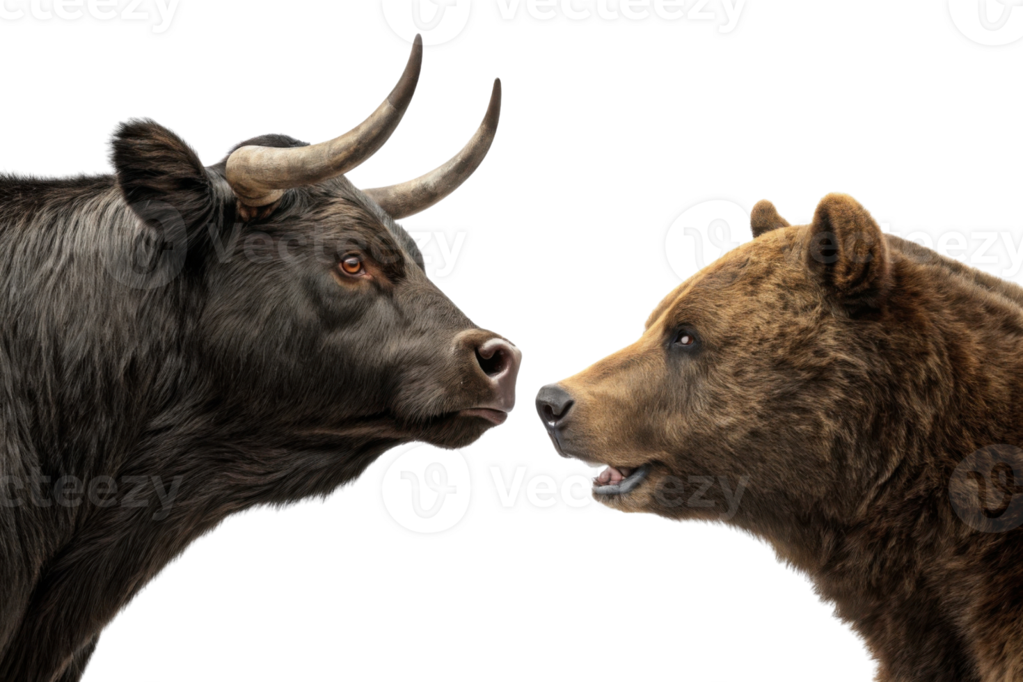 Bull and bear symbolize contrasting forces in market, representing optimism and pessimism in trading png