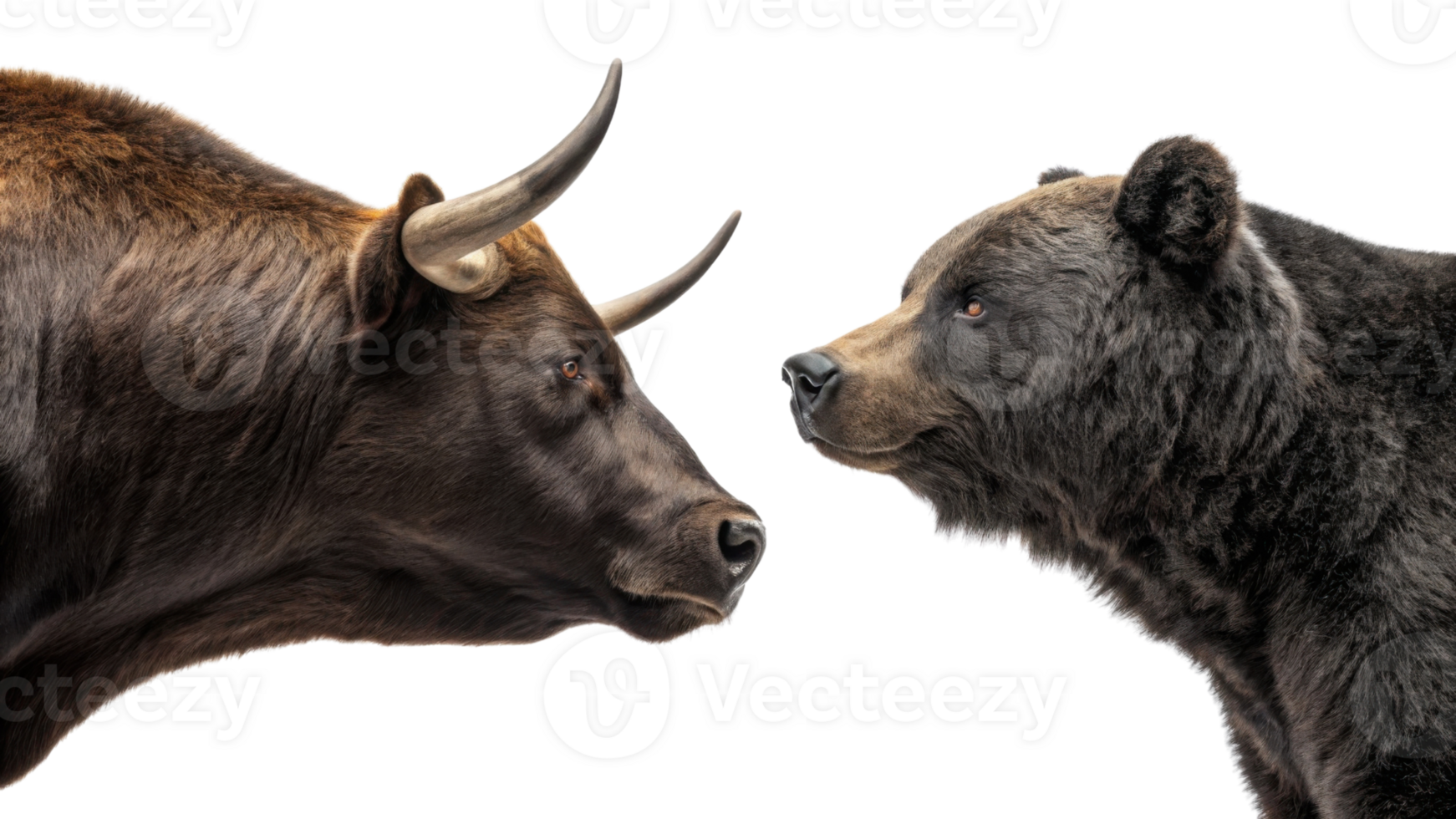 Bull and bear represent opposing forces in market, showcasing dynamic nature of trading and investment png