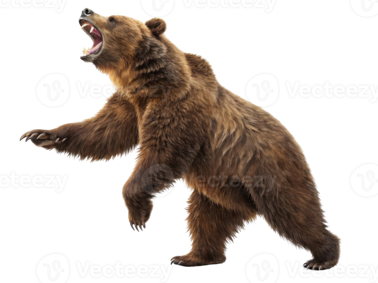 Fierce bear stands tall in market scene, showcasing its strength and wild beauty. This captivating image evokes sense of nature power png