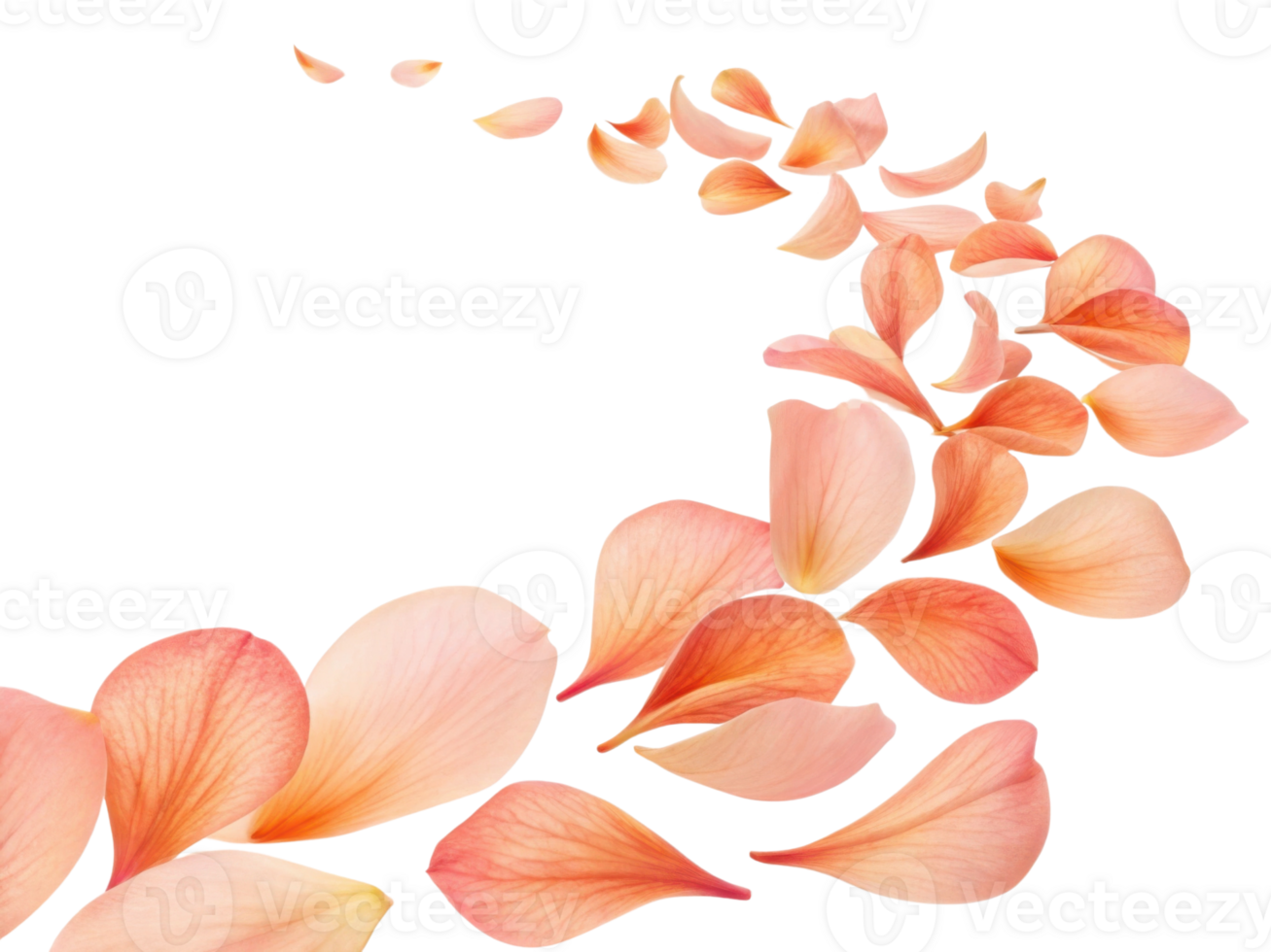 Soft pink petals gracefully float in delicate swirl creating serene and calming atmosphere. beauty of nature is captured in this elegant display png