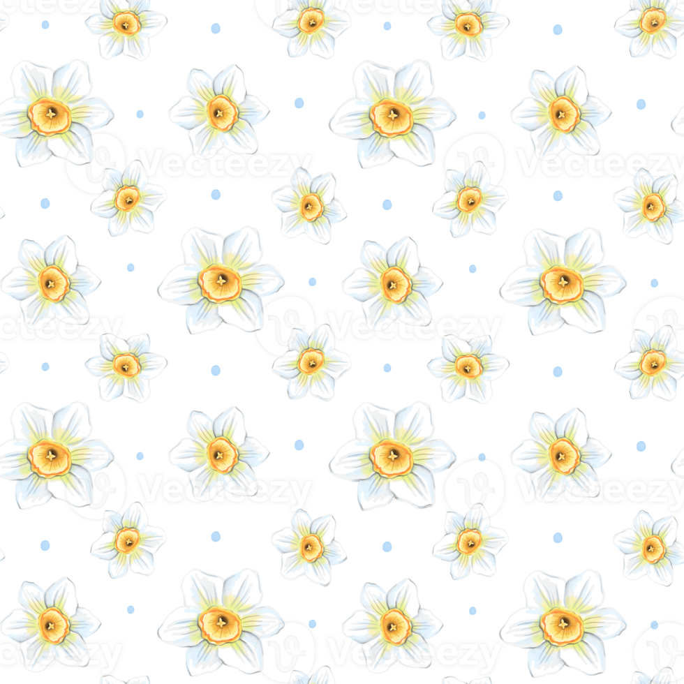 Seamless pattern with white daffodils png