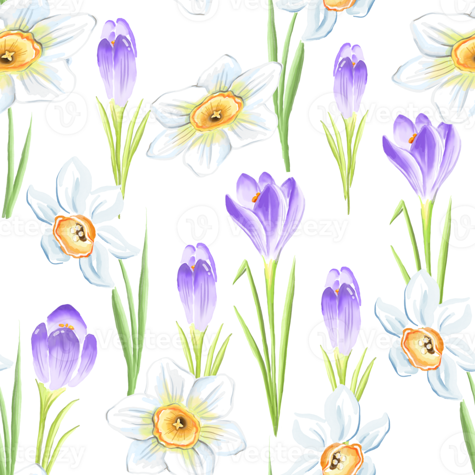 Seamless floral pattern with crocuses and daffodils. Watercolor spring flowers png