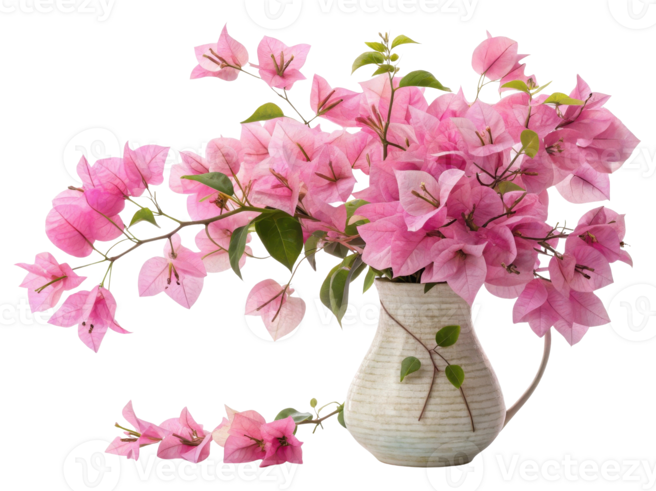 Bougainvillea flowers bloom vibrantly in charming vase creating delightful and cheerful atmosphere png