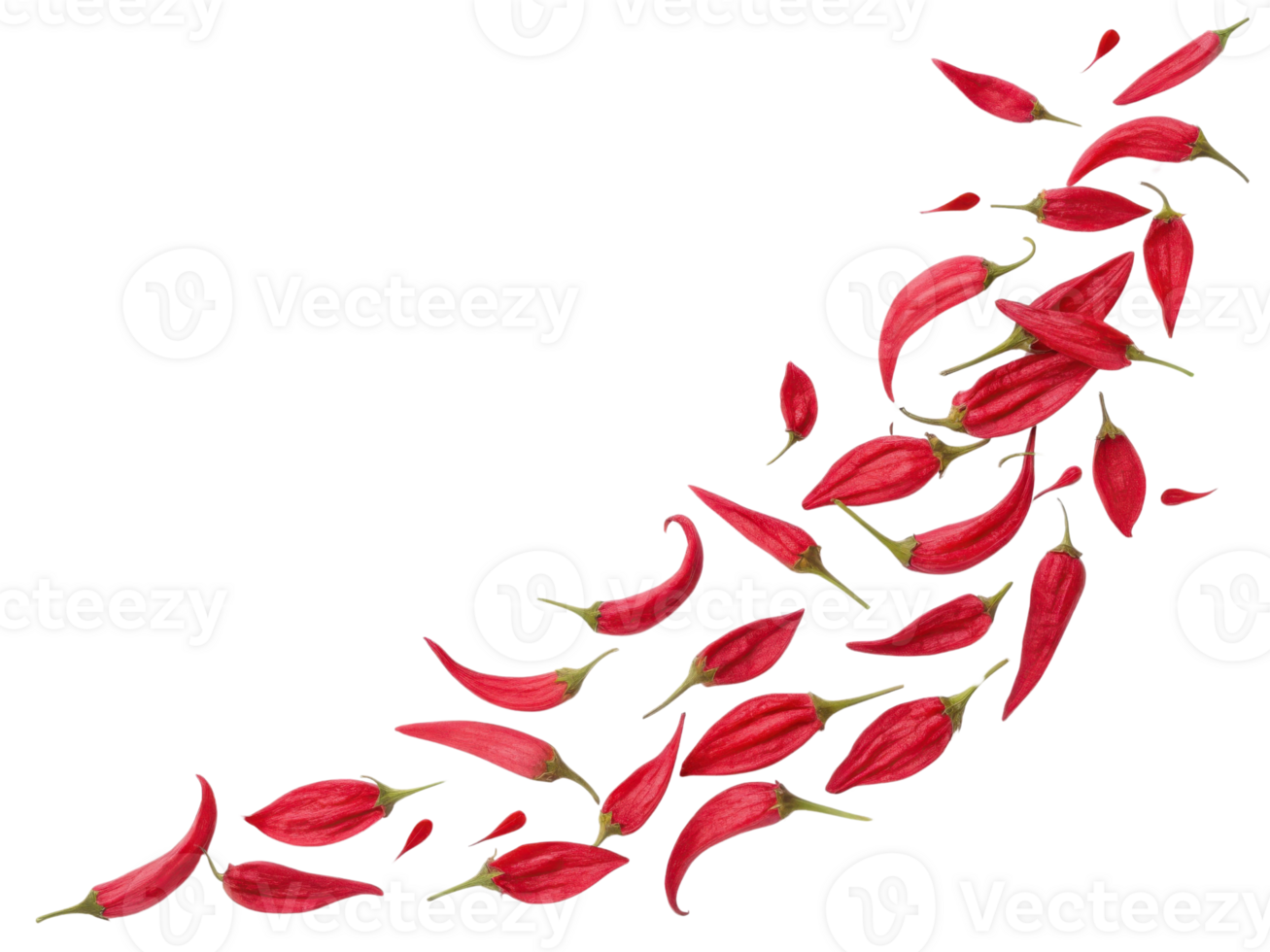 Bright red salvia flowers create stunning visual display, showcasing their vibrant colors and unique shapes in beautiful arrangement png