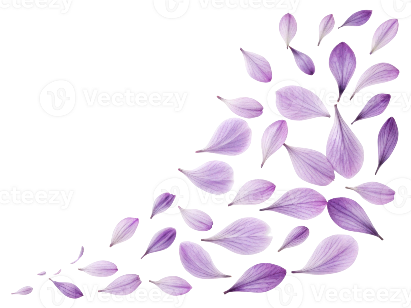 Delicate thistle flower petals scatter gracefully, creating serene and calming atmosphere in soft purple hues png