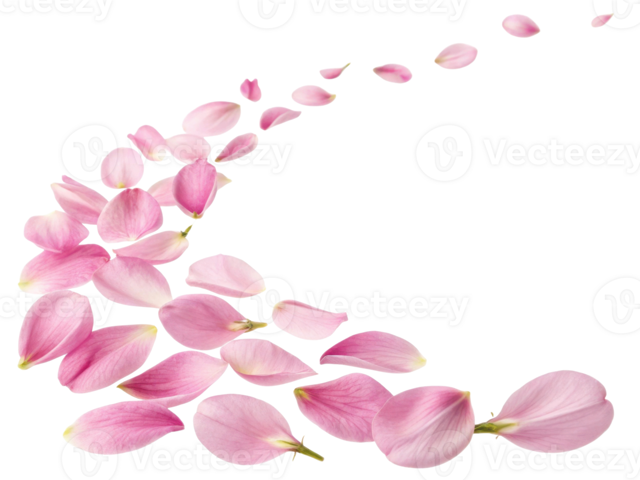 Delicate wisteria flower petals create beautiful trail of soft pink hues, evoking sense of tranquility and elegance png