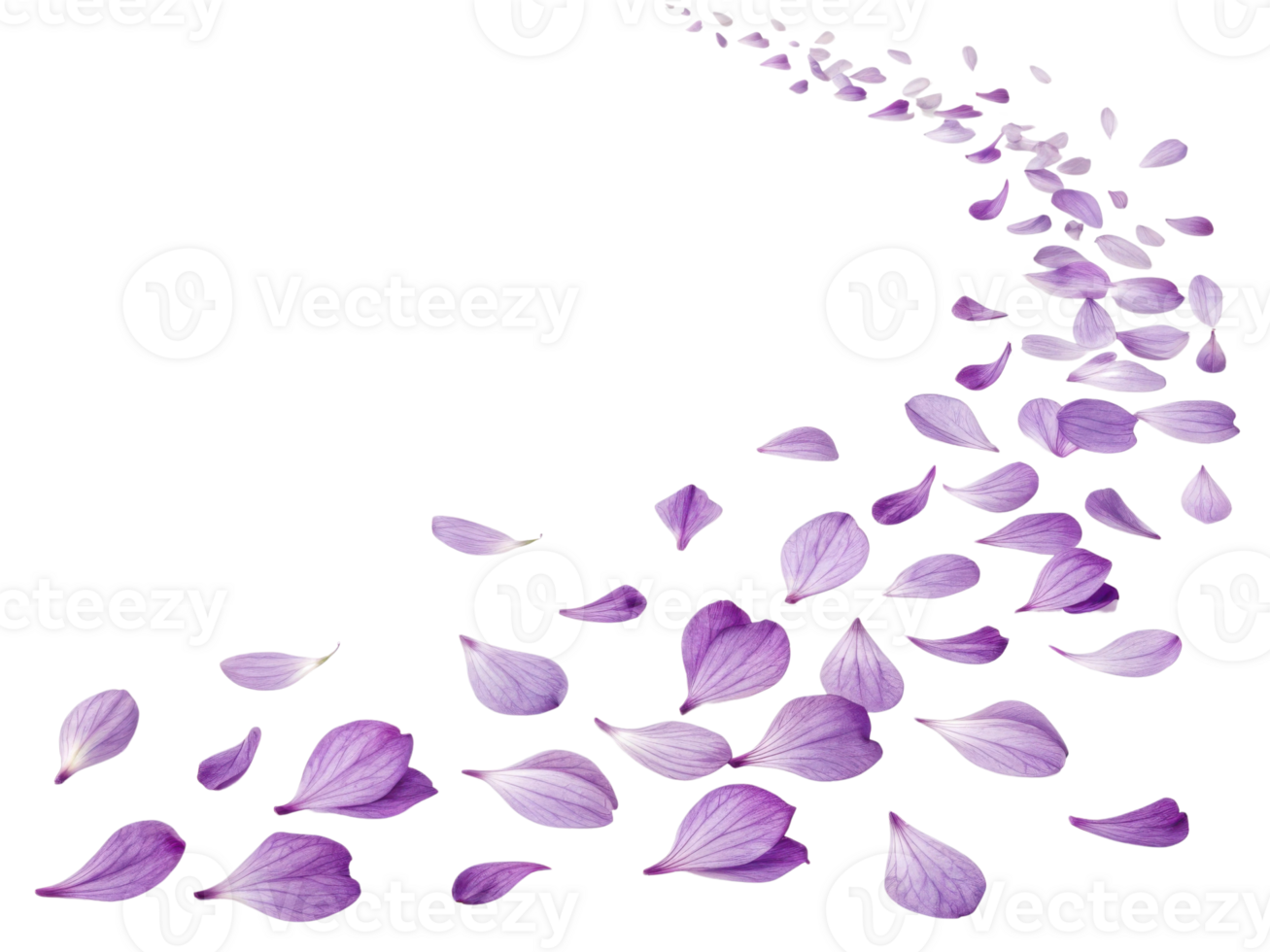 Delicate yarrow flower petals create beautiful trail of purple hues, evoking sense of tranquility and nature elegance png