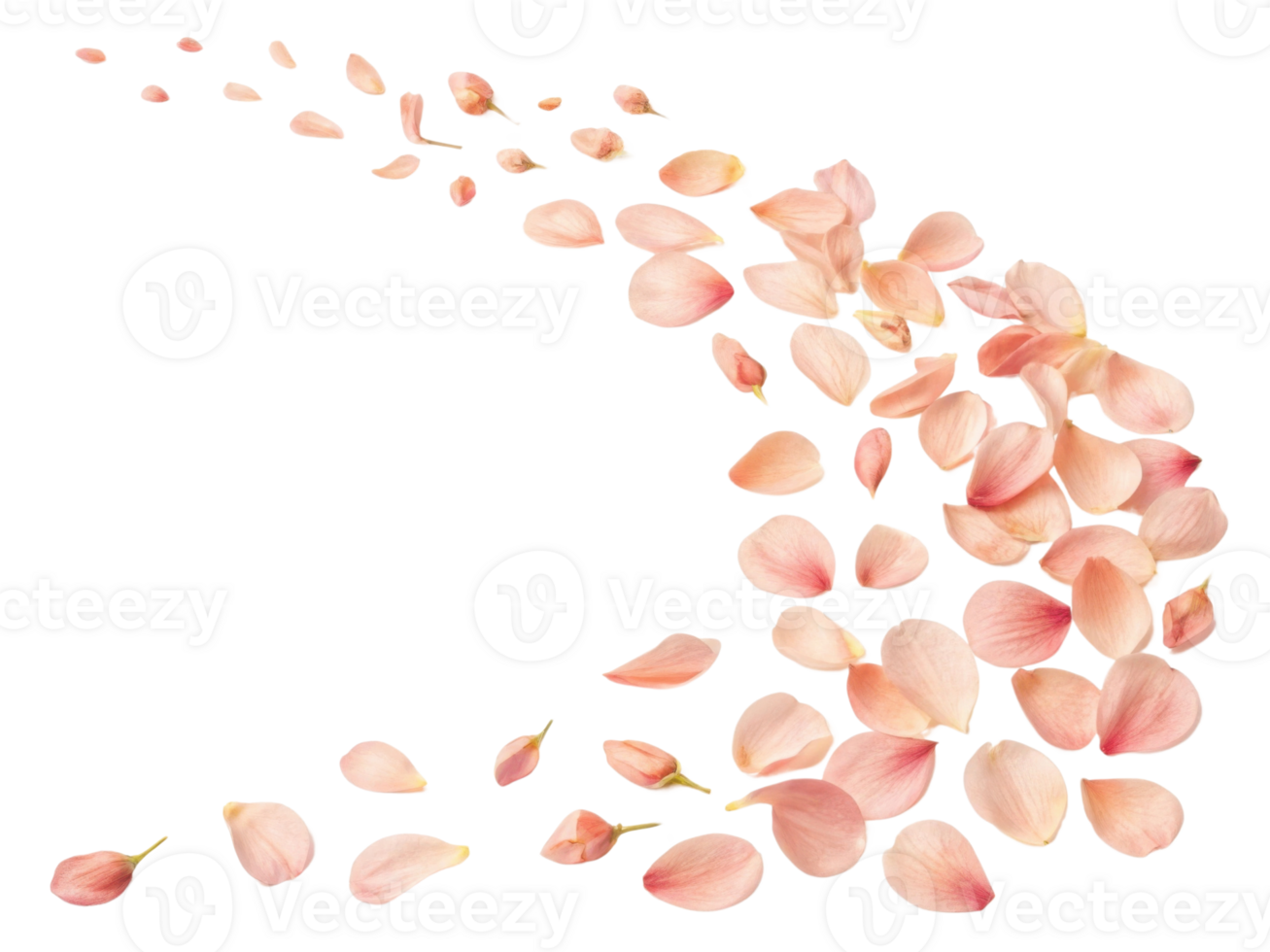 Delicate yarrow flower petals drift gracefully, creating serene and beautiful scene that evokes tranquility and nature charm png