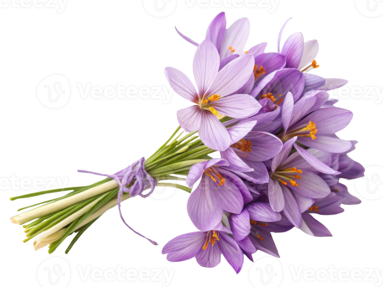 Saffron flowers bloom beautifully in vibrant bouquet showcasing their delicate petals and rich colors, perfect for any floral arrangement png