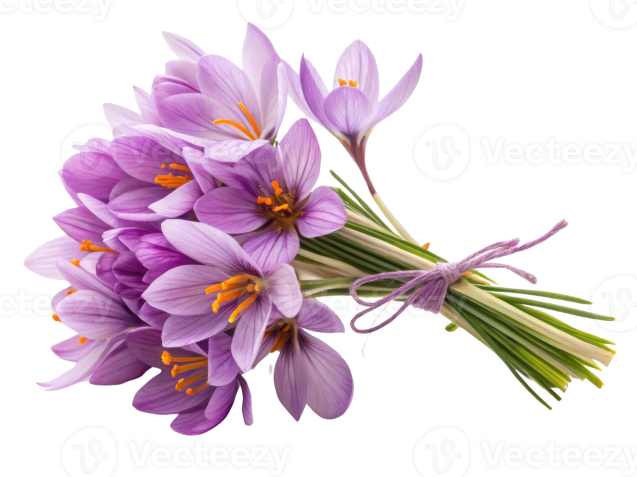 Saffron flowers bloom beautifully in vibrant bouquet showcasing their delicate petals and striking colors png
