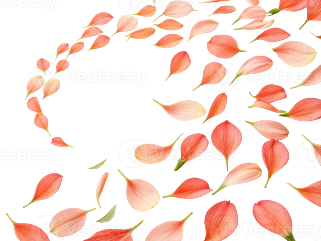 Delicate salvia flower petals create beautiful swirling pattern that evokes sense of tranquility and natural beauty png
