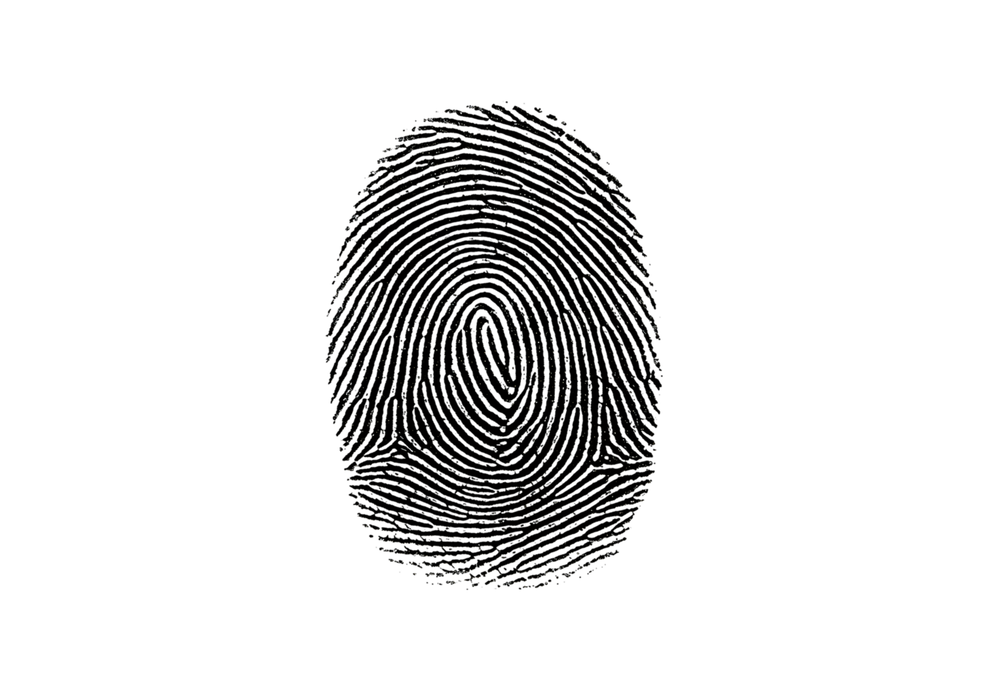fingerprint scan illustration representing identity and biometrics png