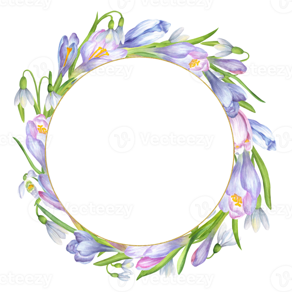 Springtime wreath of soft purple, blue and pink crocus flowers, white snowdrops flowers and green leaves and tiny gold frame. Circle wreath. Spring garden clipart. Hand-drawn watercolor illustration png
