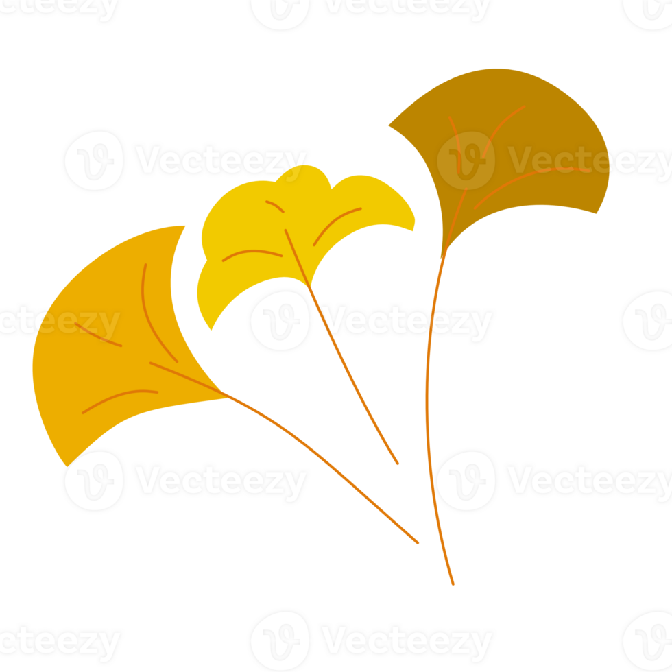 Leave autumn element design png