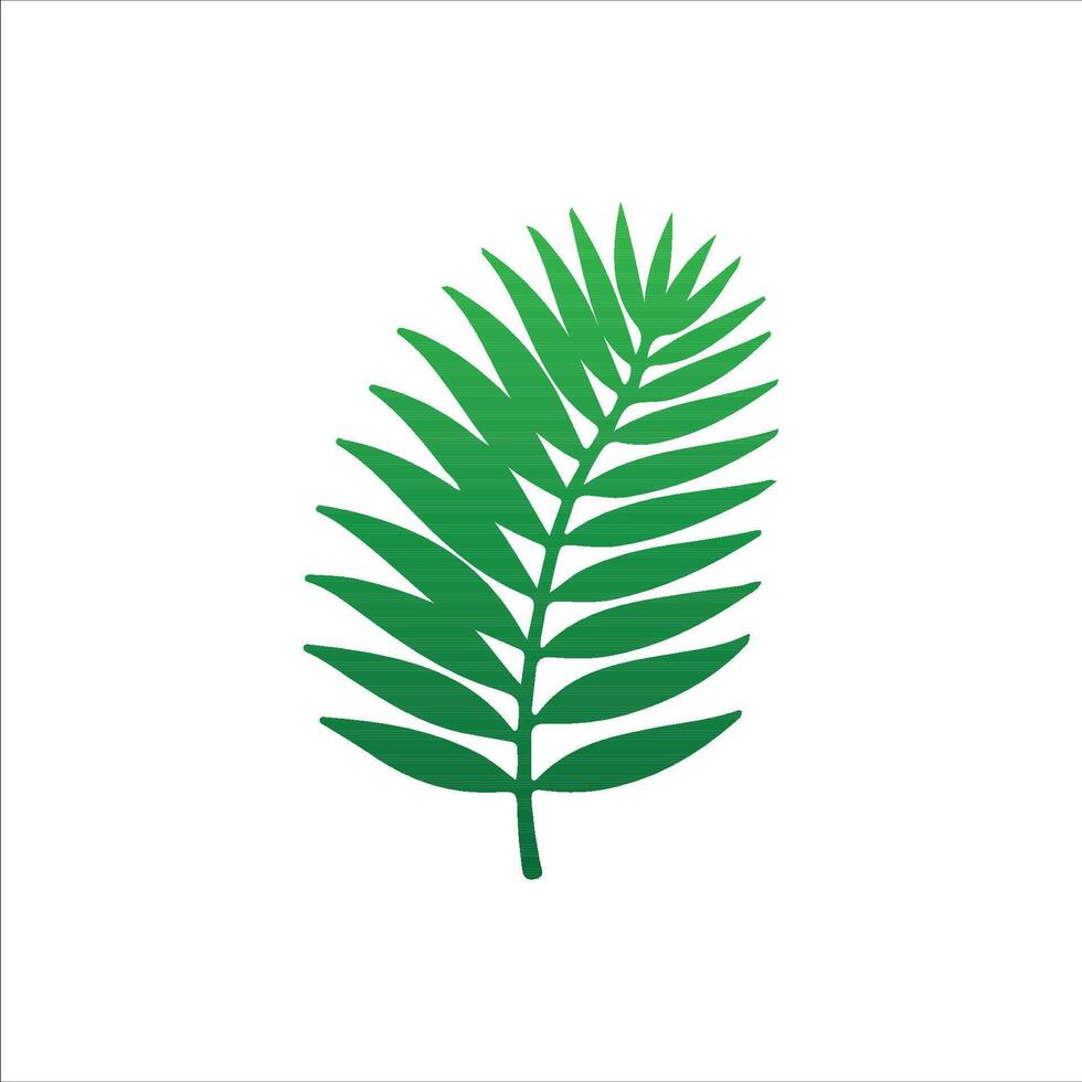 Stylish Tropic Leaves for Design green vector