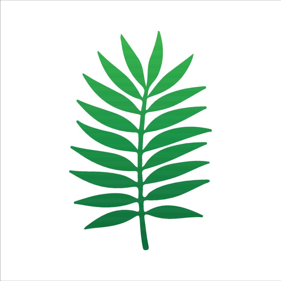 Realistic Tropical Plant Illustration vector