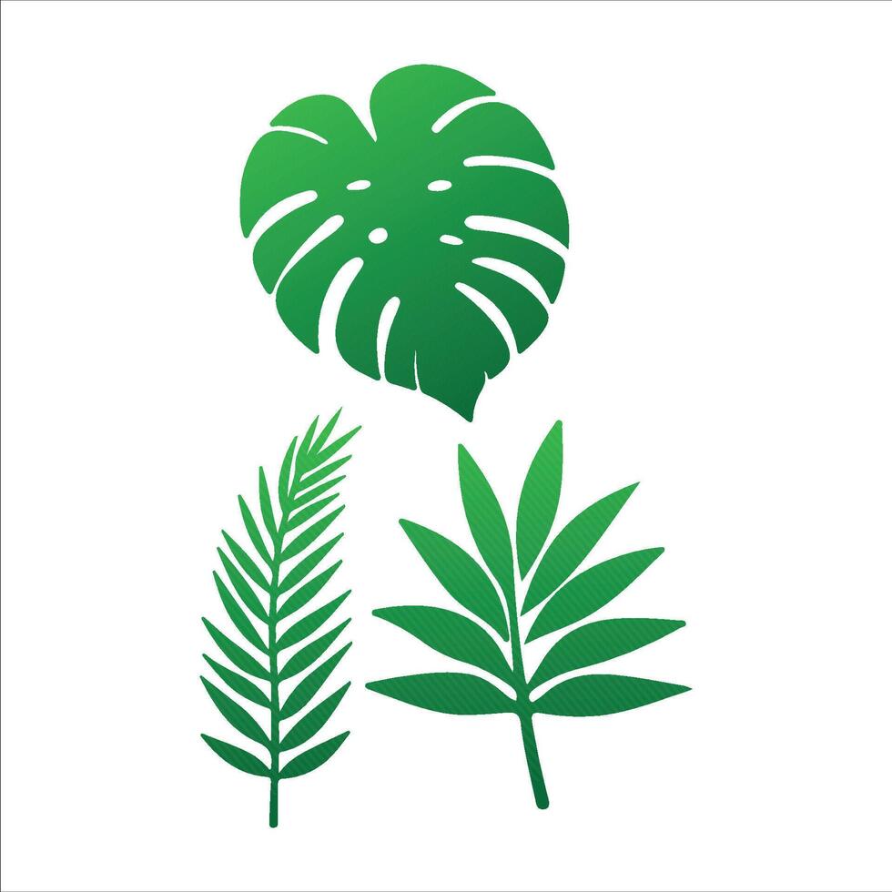 Natural Leaf Elements from the Tropics set vector