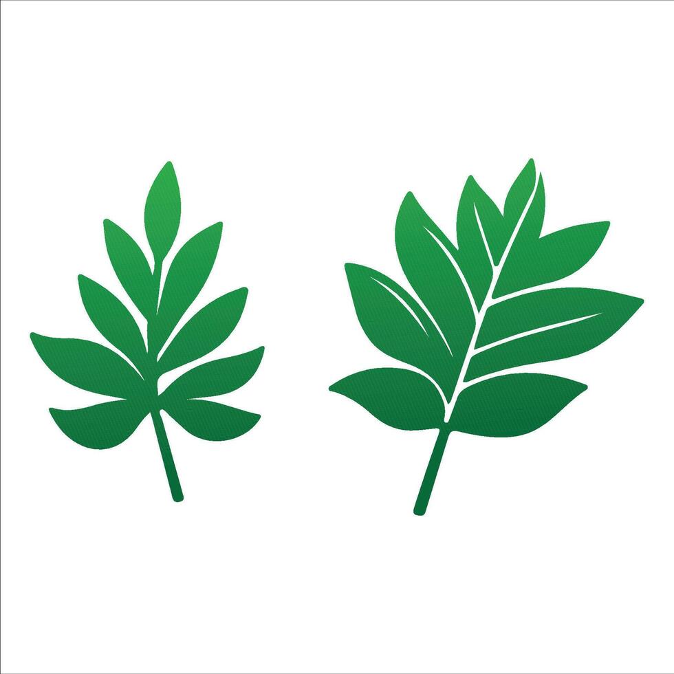 Botanical Jungle Leave vector