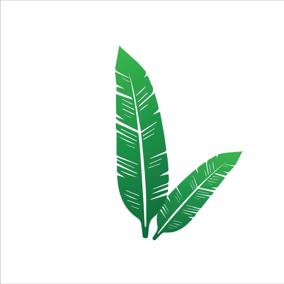 Decorative Tropical Plant Elements gradient vector