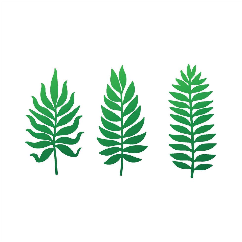 Botanical Palm Leaf Arrangement vector