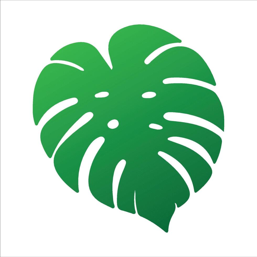 Monstera and Palm Leaf Set flat vector