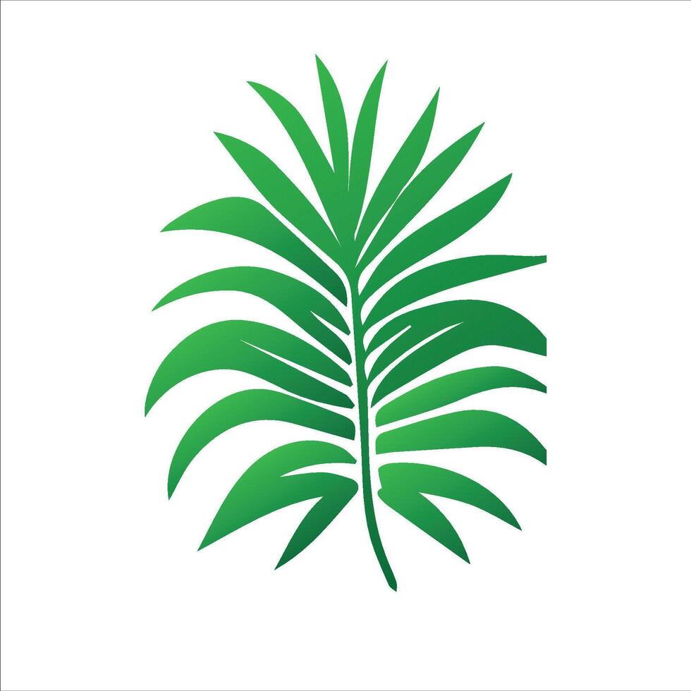 a palm leaf icon on a white background vector