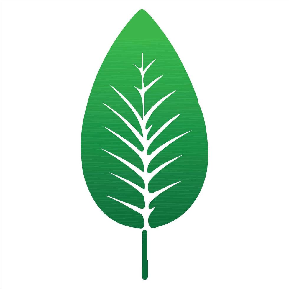 Colorful Tropical Leaf green vector