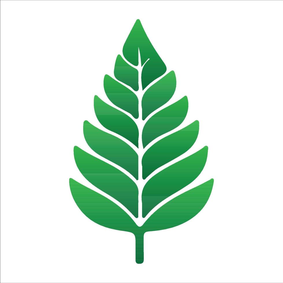 Stylish Tropic Leaves for Design vector