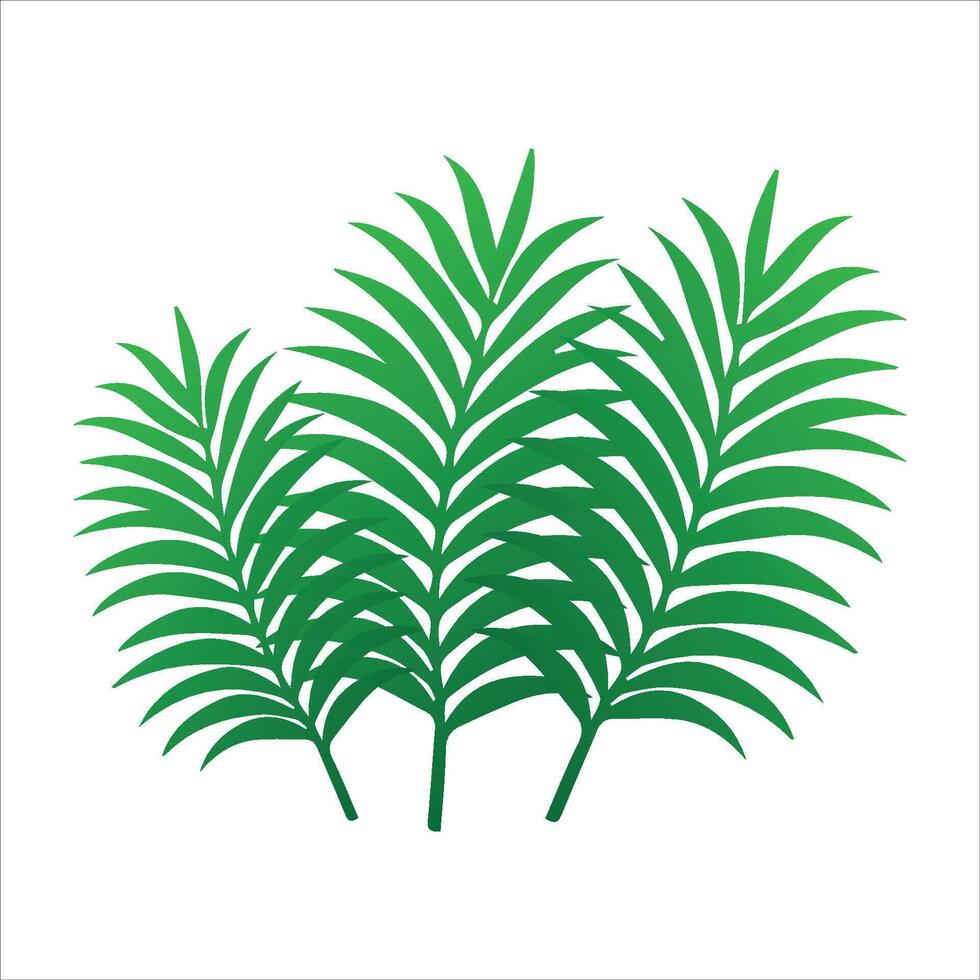 Elegant Palm Leaf Graphics vector