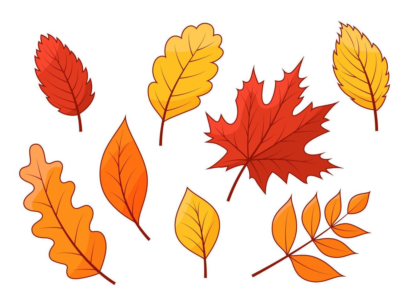 Autumn cartoon leaves set illustration. Yellow, red and orange foliage isolated on white for seasonal design vector